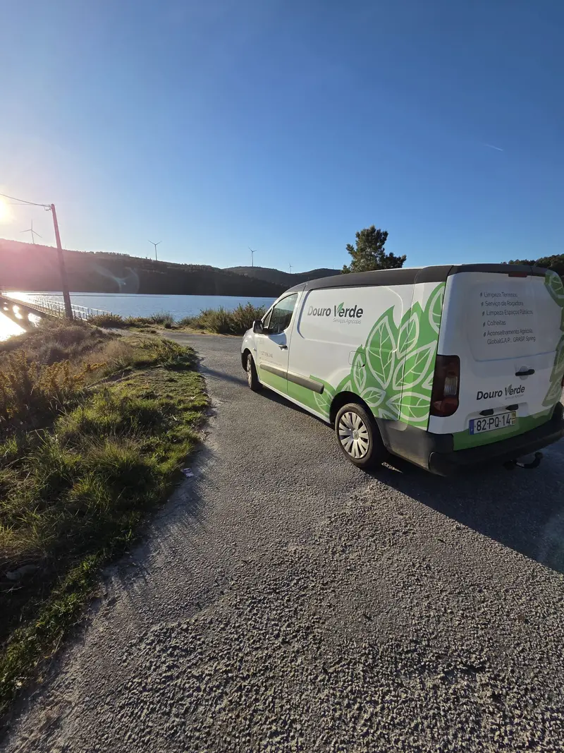 Vinilo Douro Verde