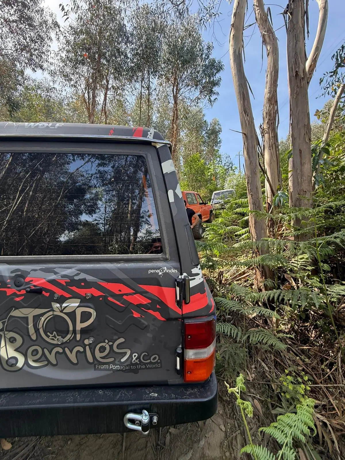TOP Berries — foto 4
