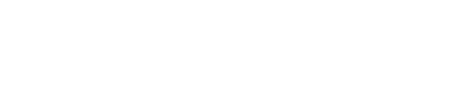 Witty Wolf | Design & Marketing Studio